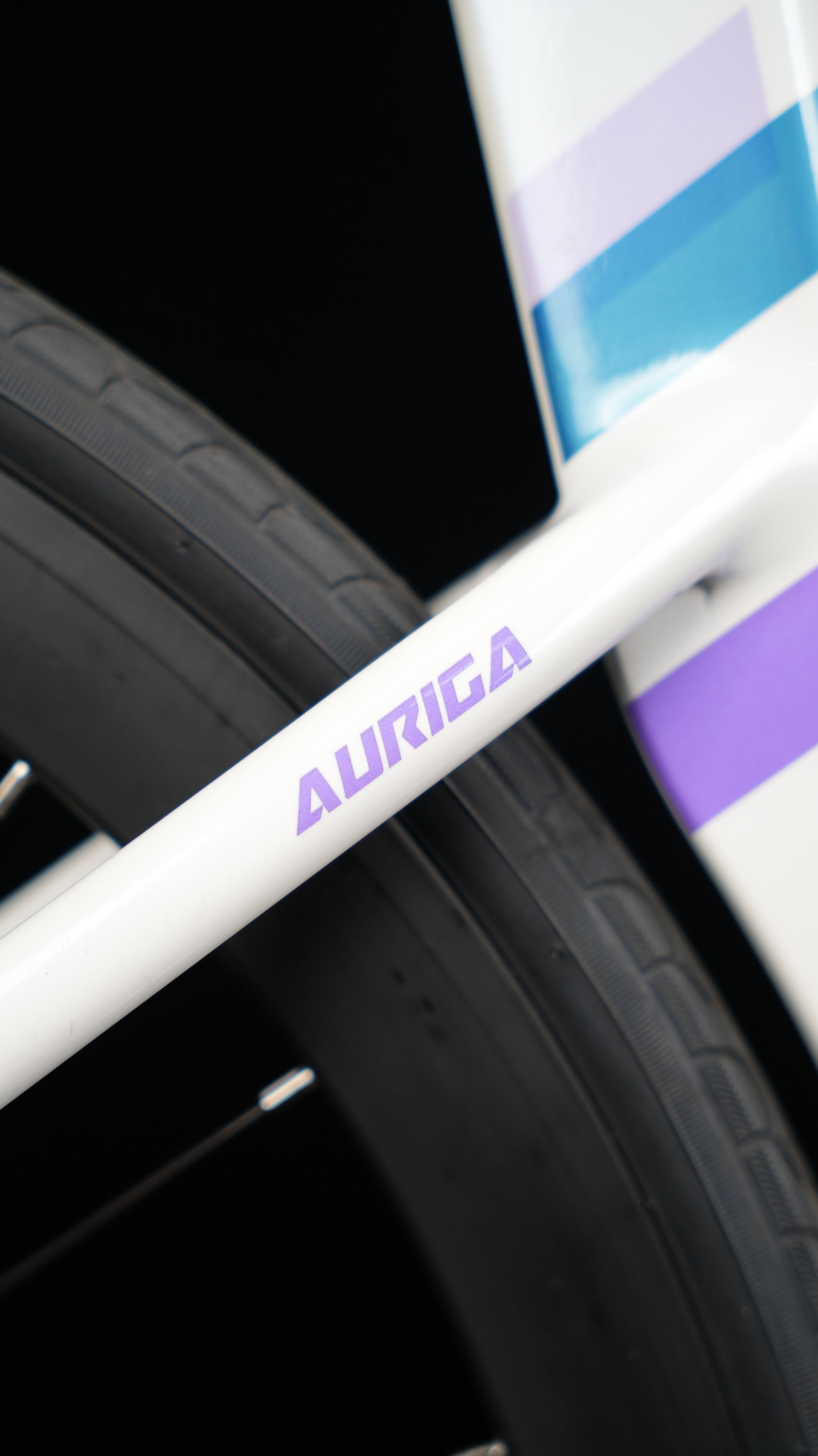 Auriga R9 22S Aluminum Road Bike – Java Bike North America